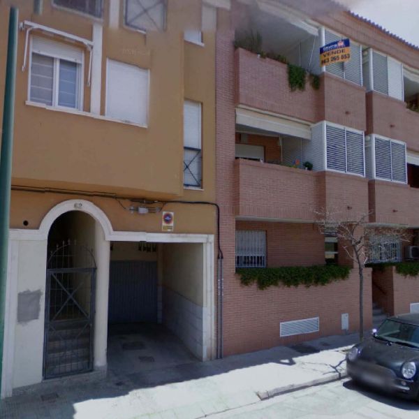 Dolores Ferrada - Rocafort